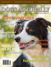 dogs-naturally-may-2012-cover