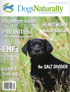 dogs-naturally-may-june-2013-cover