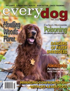everydog-cover-fall-2013