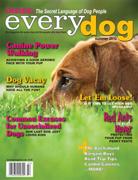 everydog-summer-2012-cover
